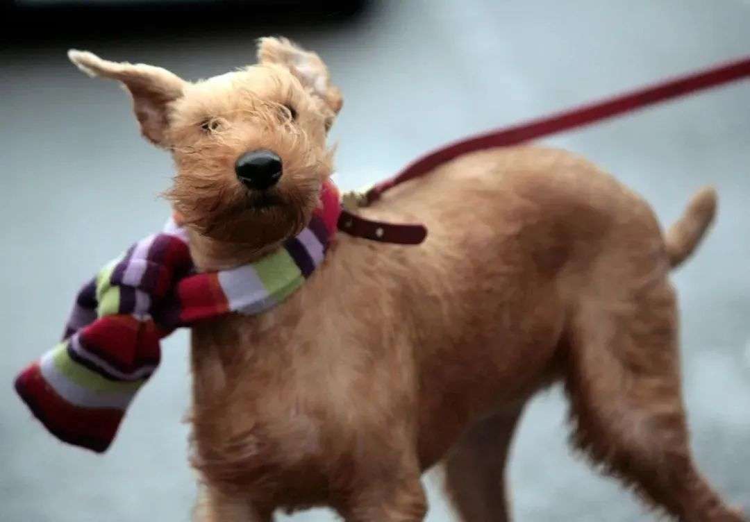 看一眼你的頭發，就知道洗發水買錯了